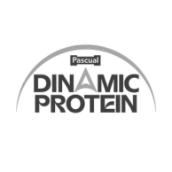 Pascual Dinamic Protein
